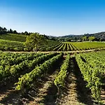 Prázdninový dům La Maison De L'aqueduc - Sejour Au Coeur Des Vignes - *