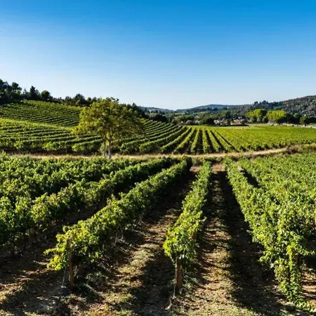 Tatil Evi La Maison De L'aqueduc - 4 Pers Au Coeur Des Vignes - *