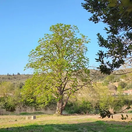 La Maison De L'aqueduc - Sejour Au Coeur Des Vignes -