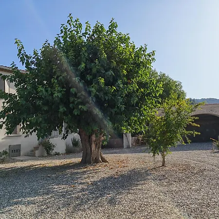 Holiday home La Maison De L'aqueduc - Sejour Au Coeur Des Vignes - Cournanel